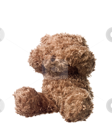 To use this stock image in your creative project, please select the size you need over to the right and click the "Add to Cart" button.
Your downloaded image will come with the Cutcaster watermark removed so don’t worry about the watermark you see on this page. Shy Teddy bear stock photo, Shy Teddy bear isolated on white background by Anne-Louise Quarfoth