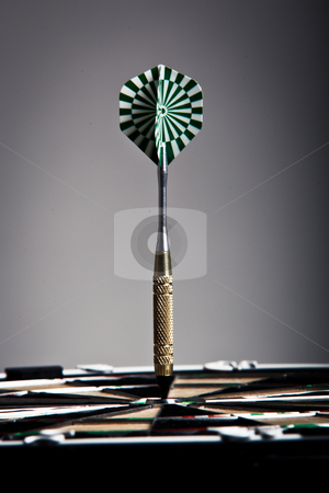 To use this stock image in your creative project, please select the size you need over to the right and click the "Add to Cart" button.
Your downloaded image will come with the Cutcaster watermark removed so don’t worry about the watermark you see on this page. Vertical View Of An Arrow On Darts Board stock photo, Vertical View Of An Arrow That Hit The Darts Board Center by Nick Fingerhut