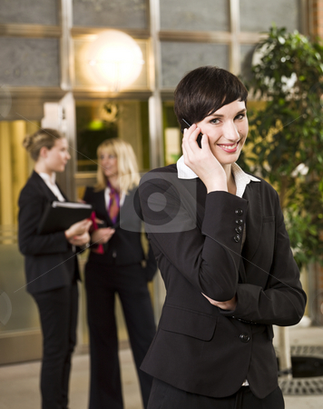Businesswoman on the phone Businesswoman on the phone stock photo, Businesswoman on the phone by Anne-Louise Quarfoth
