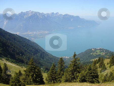 View of Montreux from the mountain View of Montreux from the mountain stock photo, View of Montreux, Switzerland, and the lake of Geneva from the Alps mountain with its fir trees by beautiful weather by Elenaphotos21