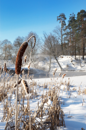 To use this stock image in your creative project, please select the size you need over to the right and click the "Add to Cart" button.
Your downloaded image will come with the Cutcaster watermark removed so don’t worry about the watermark you see on this page. Frosty winter morning stock photo, Dawn frosty day in February, the fog and sun by Vladimir Blinov