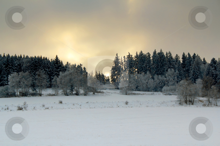 To use this stock image in your creative project, please select the size you need over to the right and click the "Add to Cart" button.
Your downloaded image will come with the Cutcaster watermark removed so don’t worry about the watermark you see on this page. Winter landscape with sunset over frozen trees stock photo, Winter landscape with sunset over frozen trees by Artush
