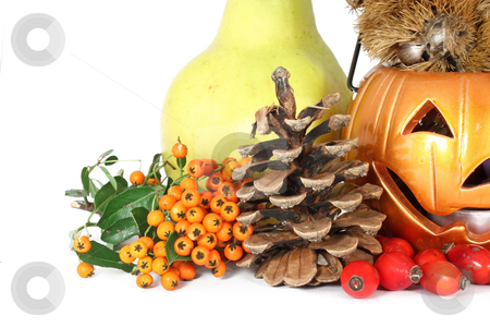 Colors of autumn Colors of autumn stock photo, Some colorful autumn fruits isolated on white by Borislav Marinic