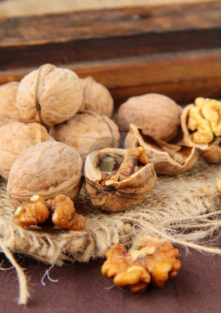 To use this stock image in your creative project, please select the size you need over to the right and click the "Add to Cart" button.
Your downloaded image will come with the Cutcaster watermark removed so don’t worry about the watermark you see on this page. Whole and chopped walnuts on a brown background stock photo, by Olga Kriger