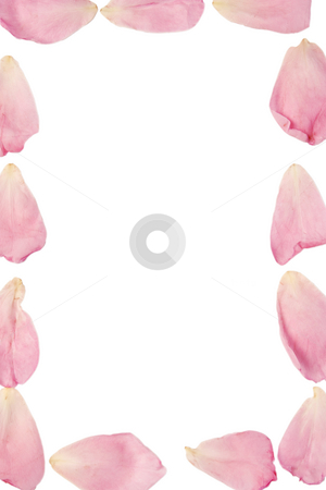 Rose watermark paper