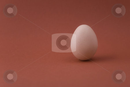 To use this stock image in your creative project, please select the size you need over to the right and click the "Add to Cart" button.
Your downloaded image will come with the Cutcaster watermark removed so don’t worry about the watermark you see on this page. Eggs stock photo, Egg on red background in vertical position by Victor Oancea