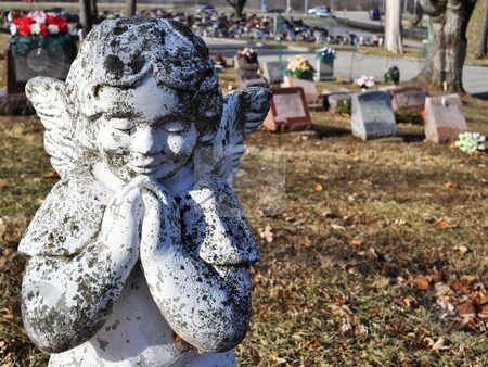 To use this stock image in your creative project, please select the size you need over to the right and click the "Add to Cart" button.
Your downloaded image will come with the Cutcaster watermark removed so don’t worry about the watermark you see on this page. Gravesite - Angel - background stock photo, Gravesite - Angel - background by Liane Harrold
