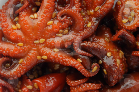To use this stock image in your creative project, please select the size you need over to the right and click the "Add to Cart" button.
Your downloaded image will come with the Cutcaster watermark removed so don’t worry about the watermark you see on this page. Marinated baby octopus stock photo, Marinated baby octupus by Olena Pupirina