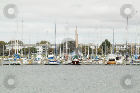 To use this stock image in your creative project, please select the size you need over to the right and click the "Add to Cart" button.
Your downloaded image will come with the Cutcaster watermark removed so don’t worry about the watermark you see on this page. Yachts on pier stock photo, Row of yachts on pier on overcast day by Olena Pupirina