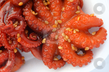 To use this stock image in your creative project, please select the size you need over to the right and click the "Add to Cart" button.
Your downloaded image will come with the Cutcaster watermark removed so don’t worry about the watermark you see on this page. Marinated baby octopus stock photo, Marinated baby octopus by Olena Pupirina