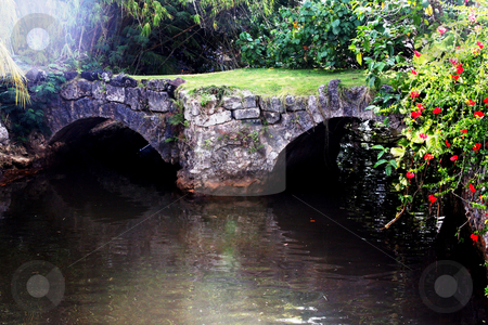 To use this stock image in your creative project, please select the size you need over to the right and click the "Add to Cart" button.
Your downloaded image will come with the Cutcaster watermark removed so don’t worry about the watermark you see on this page. Spanish Bridge stock photo, Old Spanish Bridge with Vegetation and Water by Walter Ulloa