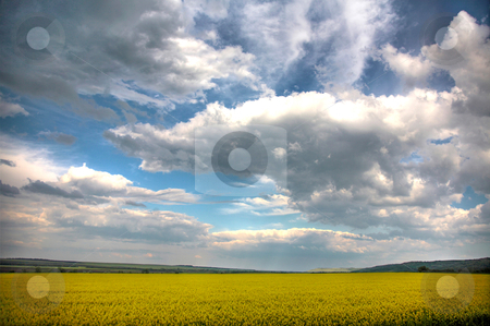 To use this stock image in your creative project, please select the size you need over to the right and click the "Add to Cart" button.
Your downloaded image will come with the Cutcaster watermark removed so don’t worry about the watermark you see on this page. Spring landscape and the cloudy sky. A yellow field. stock photo, Spring landscape and the cloudy sky. A yellow field. by krasyuk
