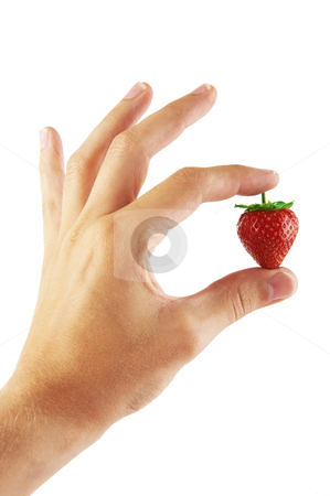 To use this stock image in your creative project, please select the size you need over to the right and click the "Add to Cart" button.
Your downloaded image will come with the Cutcaster watermark removed so don’t worry about the watermark you see on this page. Fresh strawberry in a hand stock photo, Fresh strawberry in a hand on a white background by krasyuk