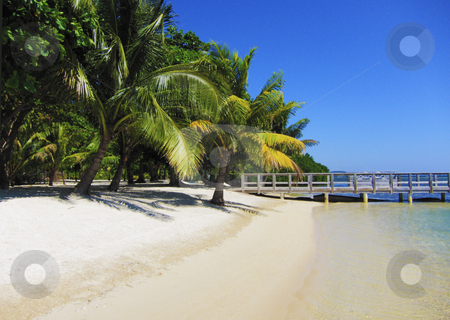 Beach Beach stock photo, Beach and tropical sea in the caribbean by Christian Delbert