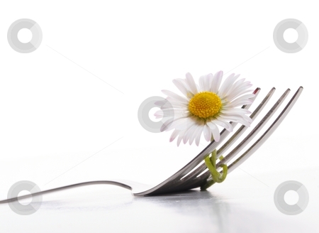Flower and fork Flower and fork stock photo, flower and fork isolated on a white background with copyspace showing food concept by Gunnar Pippel