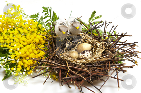 To use this stock image in your creative project, please select the size you need over to the right and click the "Add to Cart" button.
Your downloaded image will come with the Cutcaster watermark removed so don’t worry about the watermark you see on this page. Easter stock photo, A Background for the celebration of Easter by @ Photofollies by Carla Zagni