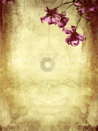 To use this stock image in your creative project, please select the size you need over to the right and click the "Add to Cart" button.
Your downloaded image will come with the Cutcaster watermark removed so don’t worry about the watermark you see on this page. Beautiful grunge background with magnolia stock photo, Beautiful grunge background with magnolia flowers by Juliet Photography