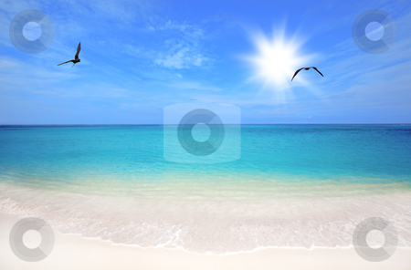 To use this stock image in your creative project, please select the size you need over to the right and click the "Add to Cart" button.
Your downloaded image will come with the Cutcaster watermark removed so don’t worry about the watermark you see on this page. Boca Grandi beach stock photo, Turquoise water and white sand at Boca Grandi beach, Aruba by Kjersti Jorgensen