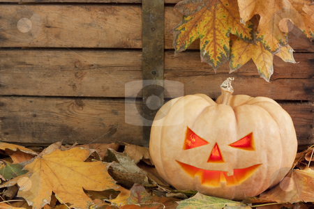 To use this stock image in your creative project, please select the size you need over to the right and click the "Add to Cart" button.
Your downloaded image will come with the Cutcaster watermark removed so don’t worry about the watermark you see on this page. Halloween creepy pumpkin stock photo, Creepy carved pumpkin face on wooden bacground and autumn leafs
by borojoint
