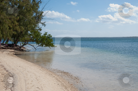 Cayman Kai Beach Cayman Kai Beach stock photo, Cayman Kai Beach, Grand Cayman by Jaime Pharr