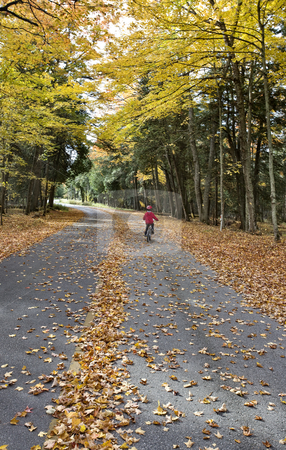 To use this stock image in your creative project, please select the size you need over to the right and click the "Add to Cart" button.
Your downloaded image will come with the Cutcaster watermark removed so don’t worry about the watermark you see on this page. Autumn Leaves stock photo, Autumn Leaves on road northern Michigan child on bicycle bike by Mark Duffy