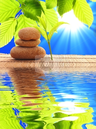 To use this stock image in your creative project, please select the size you need over to the right and click the "Add to Cart" button.
Your downloaded image will come with the Cutcaster watermark removed so don’t worry about the watermark you see on this page. Spa stock photo, spa zen or summer concept with stone and water by Gunnar Pippel