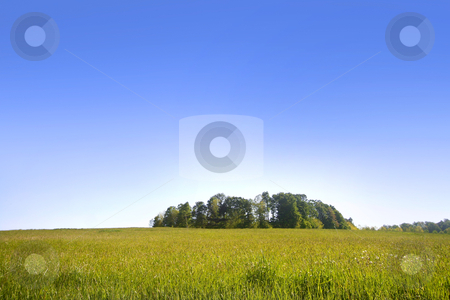 To use this stock image in your creative project, please select the size you need over to the right and click the "Add to Cart" button.
Your downloaded image will come with the Cutcaster watermark removed so don’t worry about the watermark you see on this page. Trees in the meadow stock photo, Scenic landscape of blue sky and green meadow by Sreedhar Yedlapati