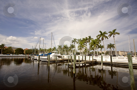 To use this stock image in your creative project, please select the size you need over to the right and click the "Add to Cart" button.
Your downloaded image will come with the Cutcaster watermark removed so don’t worry about the watermark you see on this page. Bradenton Florida stock photo, Bradenton Florida by Mark Duffy