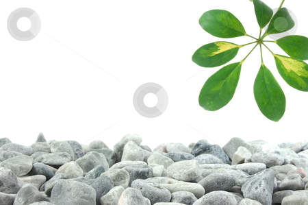 Stones and leaf Stones and leaf stock photo, stones and leaves with copy space for text message by Gunnar Pippel