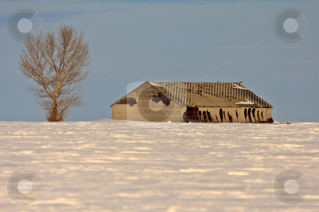 Abandoned Barn near City Abandoned Barn near City stock photo, Abandoned Barn near City Regina Saskatchewan by Mark Duffy