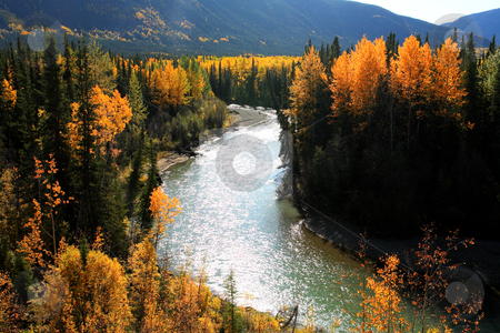 To use this stock image in your creative project, please select the size you need over to the right and click the "Add to Cart" button.
Your downloaded image will come with the Cutcaster watermark removed so don’t worry about the watermark you see on this page. Autumn colors along Northern British Columbia river stock photo, Autumn colors along Northern British Columbia river by Mark Duffy