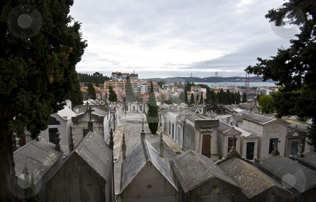 Cemetery Cemetery stock photo, detail of an old cemetery in Lisbon by Juliane Jacobs