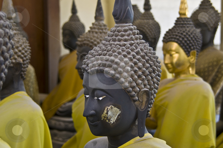 To use this stock image in your creative project, please select the size you need over to the right and click the "Add to Cart" button.
Your downloaded image will come with the Cutcaster watermark removed so don’t worry about the watermark you see on this page. Buddha stock photo, lots of statues of buddha sitting in lines by Juliane Jacobs