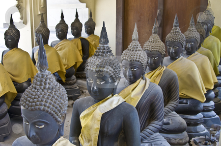To use this stock image in your creative project, please select the size you need over to the right and click the "Add to Cart" button.
Your downloaded image will come with the Cutcaster watermark removed so don’t worry about the watermark you see on this page. Buddha stock photo, lots of statues of buddha sitting in lines by Juliane Jacobs