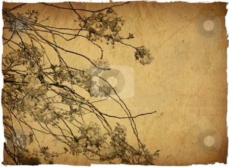 To use this stock image in your creative project, please select the size you need over to the right and click the "Add to Cart" button.
Your downloaded image will come with the Cutcaster watermark removed so don’t worry about the watermark you see on this page. Vintage paper floral stock photo, old shabby paper textures - perfect background with space for text or image
by ilolab