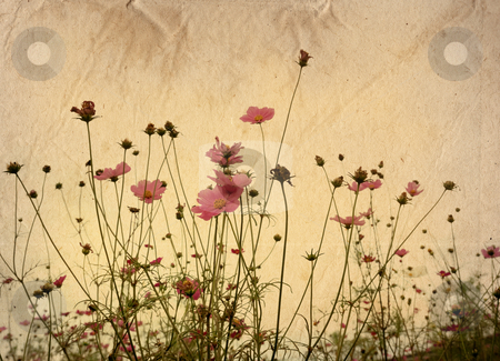 Vintage paper floral Vintage paper floral stock photo, old shabby paper textures - perfect background with space for text or image
by ilolab