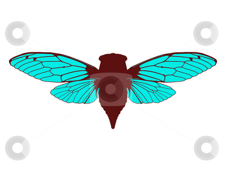 To use this stock image in your creative project, please select the size you need over to the right and click the "Add to Cart" button.
Your downloaded image will come with the Cutcaster watermark removed so don’t worry about the watermark you see on this page. Beautiful cicada stock photo, Beautiful cicada by Robert Biedermann