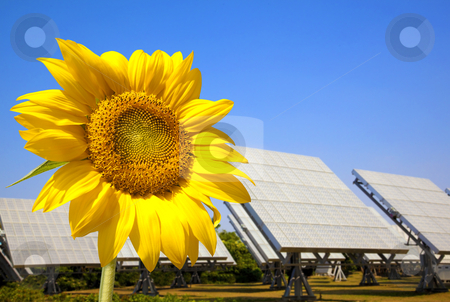 Beautiful sunflower and solar panel and power plant.Alternative energy concept Beautiful sunflower and solar panel and power plant.Alternative energy concept stock photo, Beautiful sunflower and solar panel and power plant.Alternative energy concept by tomwang
