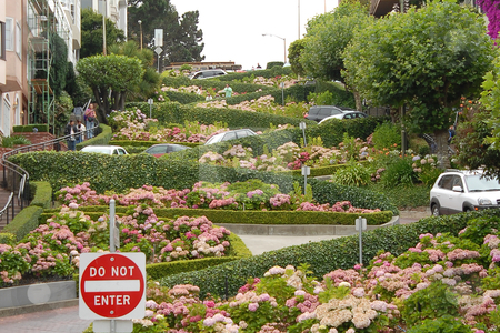 To use this stock image in your creative project, please select the size you need over to the right and click the "Add to Cart" button.
Your downloaded image will come with the Cutcaster watermark removed so don’t worry about the watermark you see on this page. Lombard Street stock photo, View of Lombard Street, the crookedest street in the world, San Francisco, California by Albo
