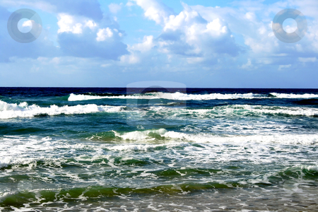 To use this stock image in your creative project, please select the size you need over to the right and click the "Add to Cart" button.
Your downloaded image will come with the Cutcaster watermark removed so don’t worry about the watermark you see on this page. Winter Mediterranean sea stock photo, Winter Mediterranean sea in Bat-Yam, Israel by Tatjana Keisa