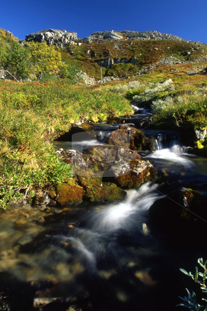 To use this stock image in your creative project, please select the size you need over to the right and click the "Add to Cart" button.
Your downloaded image will come with the Cutcaster watermark removed so don’t worry about the watermark you see on this page. Stream in mountain stock photo, A small stream in mountain in sunny day by Ingvar Bjork