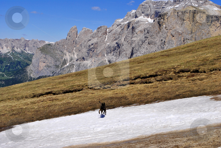 To use this stock image in your creative project, please select the size you need over to the right and click the "Add to Cart" button.
Your downloaded image will come with the Cutcaster watermark removed so don’t worry about the watermark you see on this page. Alpine mountains stock photo, Alpine mountains in the spring, Dolomites heritage humanity by freeteo
