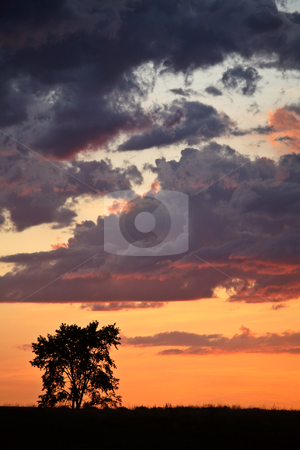 To use this stock image in your creative project, please select the size you need over to the right and click the "Add to Cart" button.
Your downloaded image will come with the Cutcaster watermark removed so don’t worry about the watermark you see on this page. Gorgeous twilight in scenic Saskatchewan stock photo, Gorgeous twilight in scenic Saskatchewan by Mark Duffy