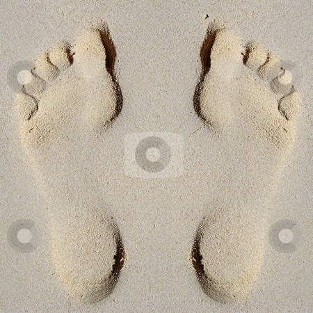 To use this stock image in your creative project, please select the size you need over to the right and click the "Add to Cart" button.
Your downloaded image will come with the Cutcaster watermark removed so don’t worry about the watermark you see on this page. Footprint in sand on beach stock photo, Footprint in sand on beach by Lars Christensen