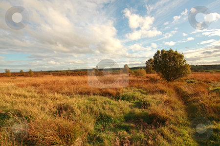 To use this stock image in your creative project, please select the size you need over to the right and click the "Add to Cart" button.
Your downloaded image will come with the Cutcaster watermark removed so don’t worry about the watermark you see on this page. Autumn in Scotland stock photo, Scottish landscape in Autumn by Juliet Photography