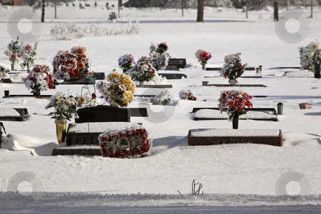 Flowers on graves in winter Flowers on graves in winter stock photo, Flowers on graves in winter by Mark Duffy