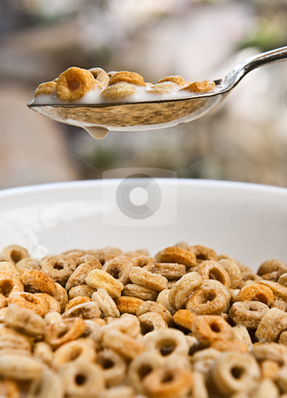 bowl of cereal. #801023378 Bowl of Cereal