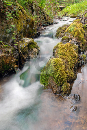 To use this stock image in your creative project, please select the size you need over to the right and click the "Add to Cart" button.
Your downloaded image will come with the Cutcaster watermark removed so don’t worry about the watermark you see on this page. Forest waterfall stock photo, stream between stones in green forest landscape by Julija Sapic