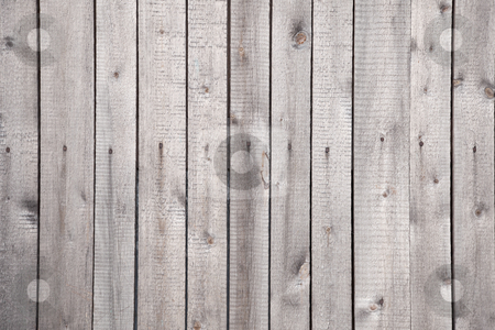 To use this stock image in your creative project, please select the size you need over to the right and click the "Add to Cart" button.
Your downloaded image will come with the Cutcaster watermark removed so don’t worry about the watermark you see on this page. Wooden grunge rural rough grey background stock photo, Wooden grunge rural rough grey background with nails by Alexey Romanov