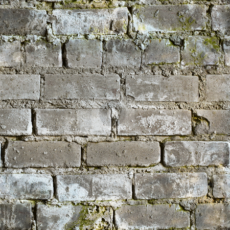 To use this stock image in your creative project, please select the size you need over to the right and click the "Add to Cart" button.
Your downloaded image will come with the Cutcaster watermark removed so don’t worry about the watermark you see on this page. Seamless texture from dirty moldy brick wall stock photo, Seamless texture from gray dirty moldy brick wall by Alexey Romanov